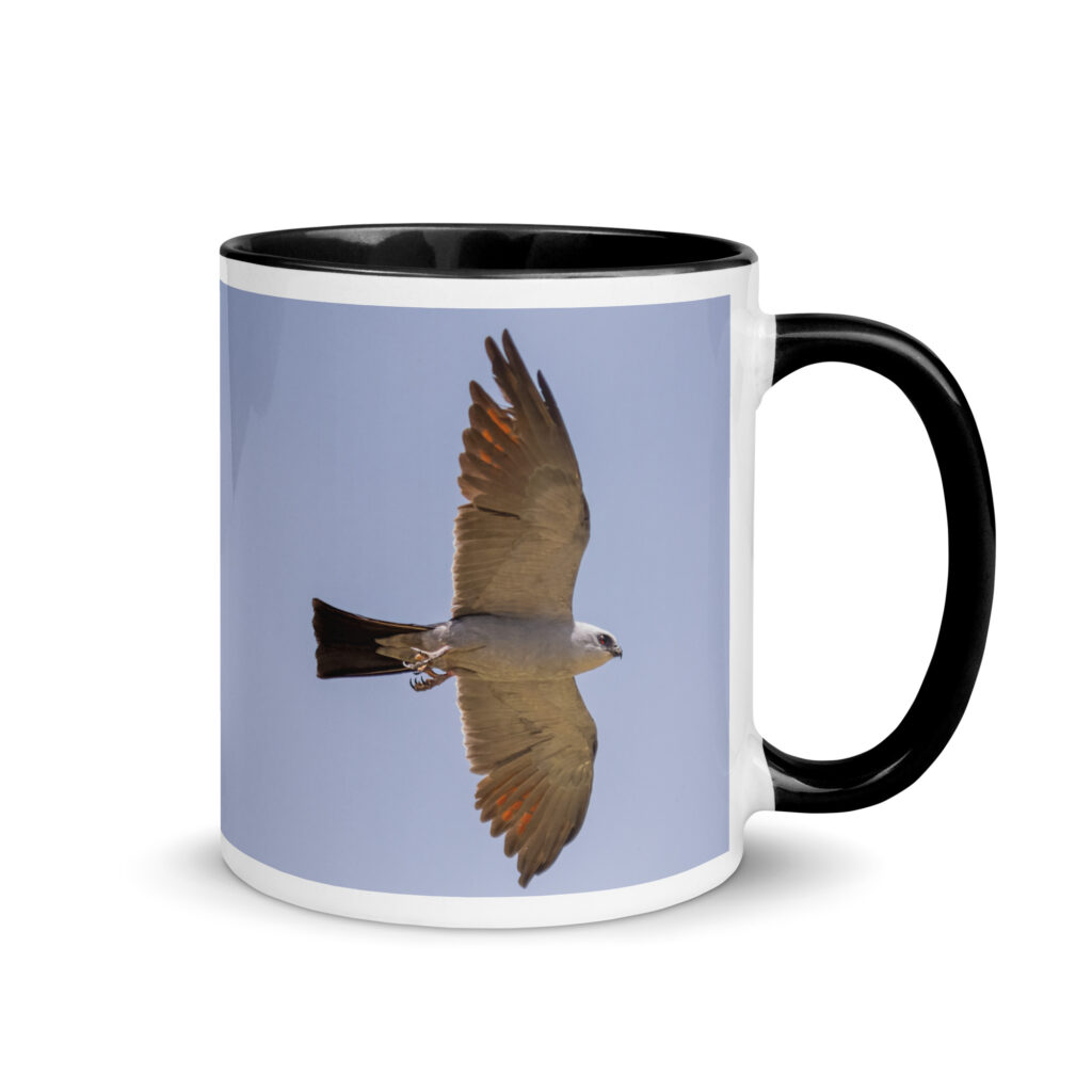 Mississippi kite! Mug with Color Inside