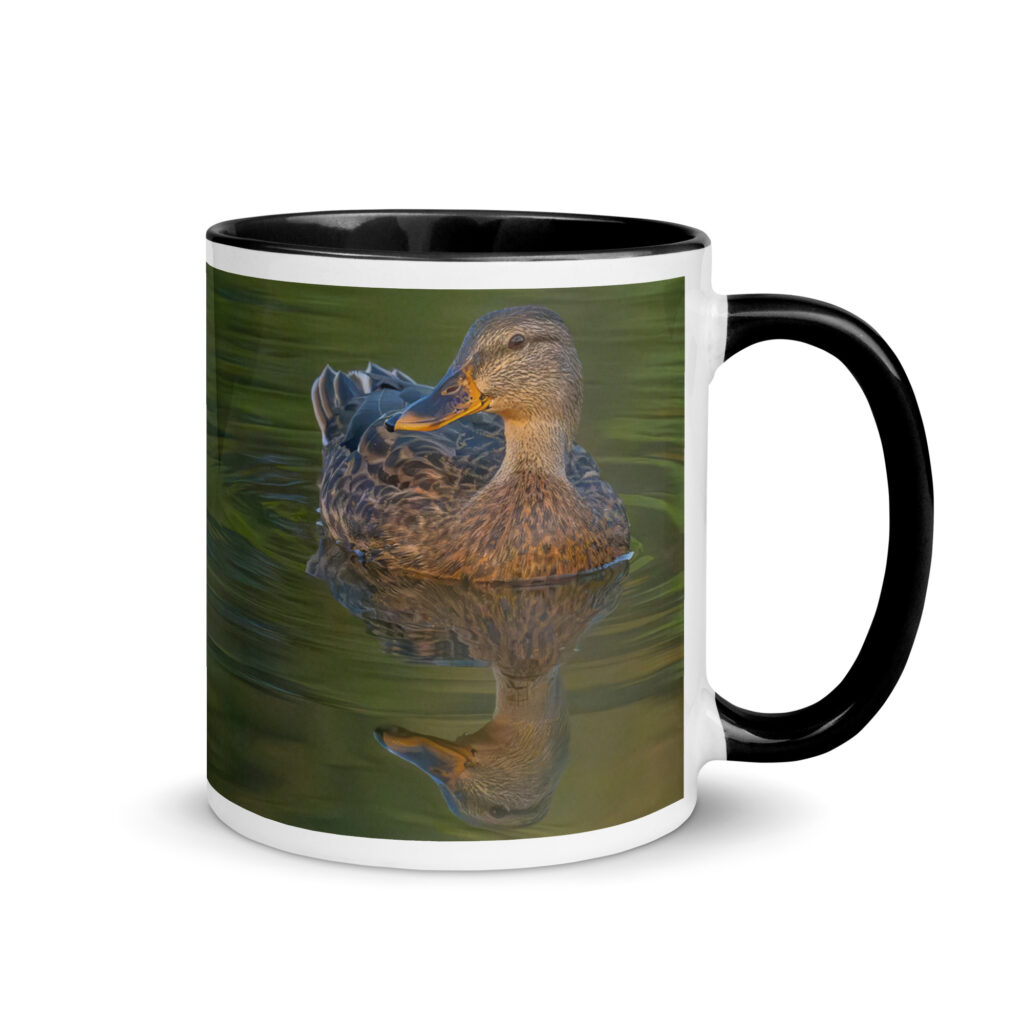 Emerald pool! Mug with Color Inside