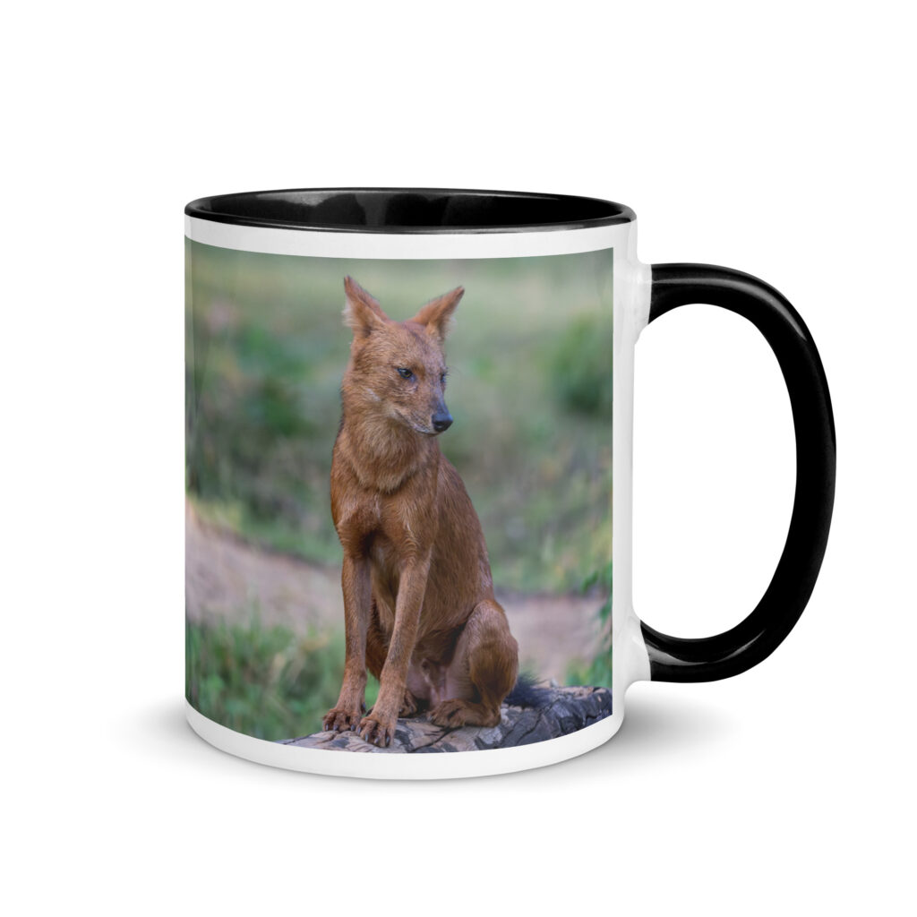 Dhole! Mug with Color Inside