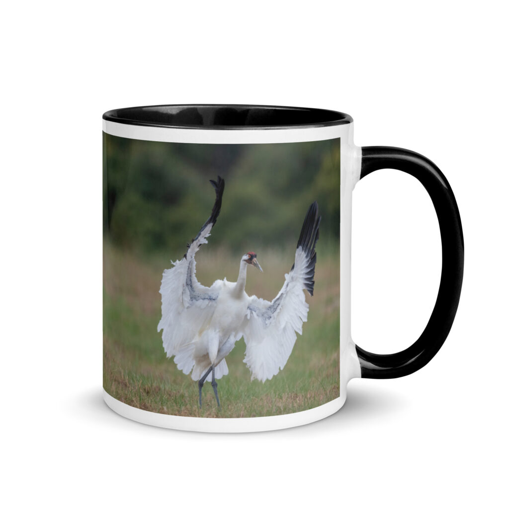 Whooping crane in action! Mug with Color Inside