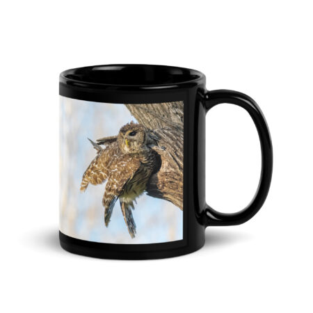 Mama barred owl! Black Glossy Mug