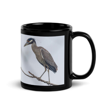 Yellow crowned night heron! Black Glossy Mug