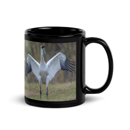 Whooping crane feather! Black Glossy Mug