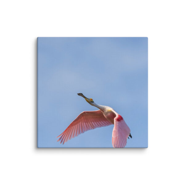 Shooting Star! Canvas - Image 8