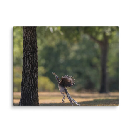 Rushing with a prey! Canvas