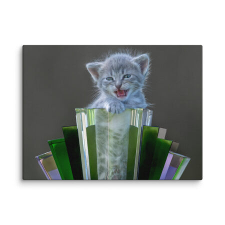 Roaring Kitten! Canvas