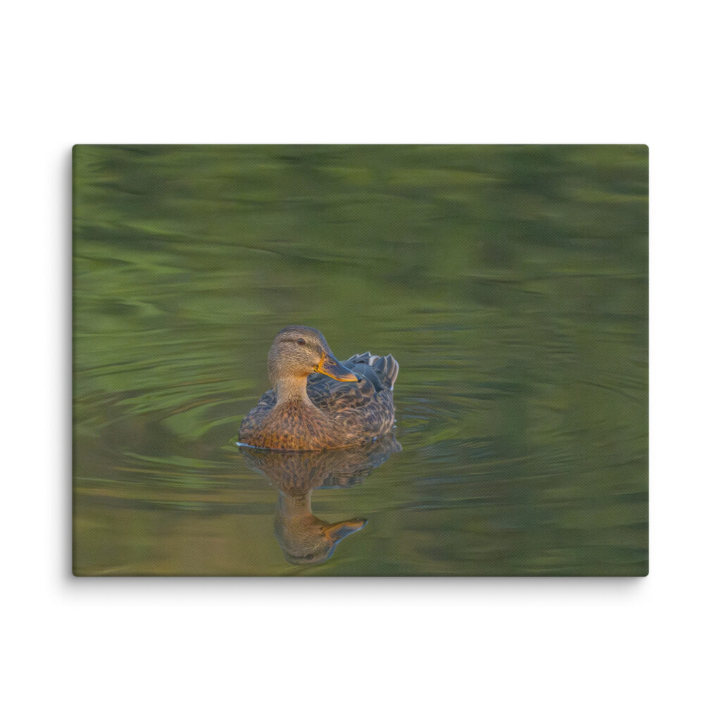 Emerald pool! Canvas