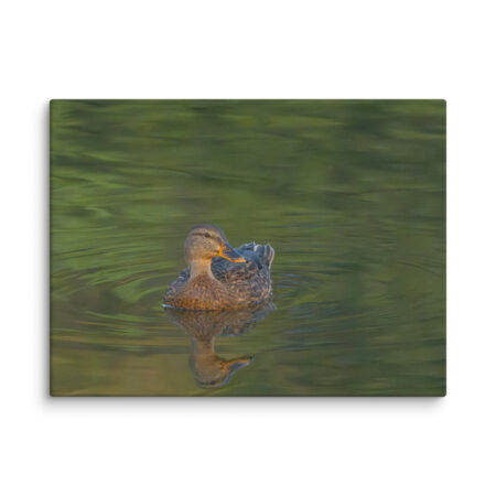 Emerald pool! Canvas