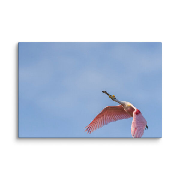 Shooting Star! Canvas - Image 2