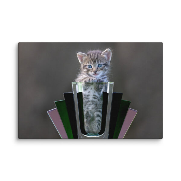 Cute Kitten! Canvas - Image 3