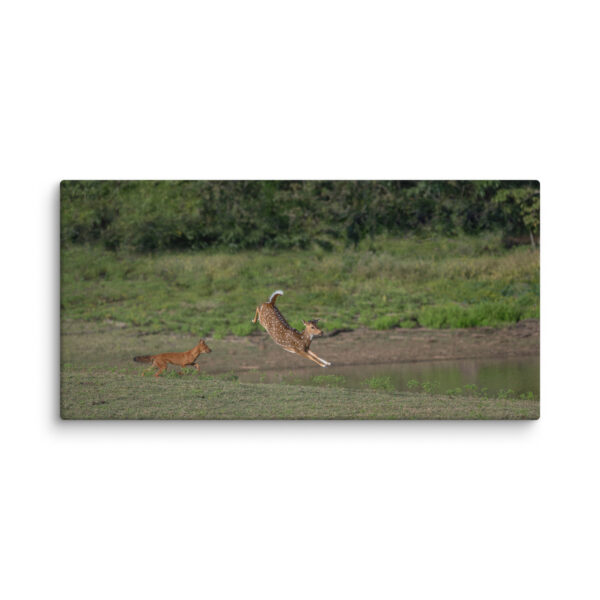 Running away from dhole! Canvas - Image 6