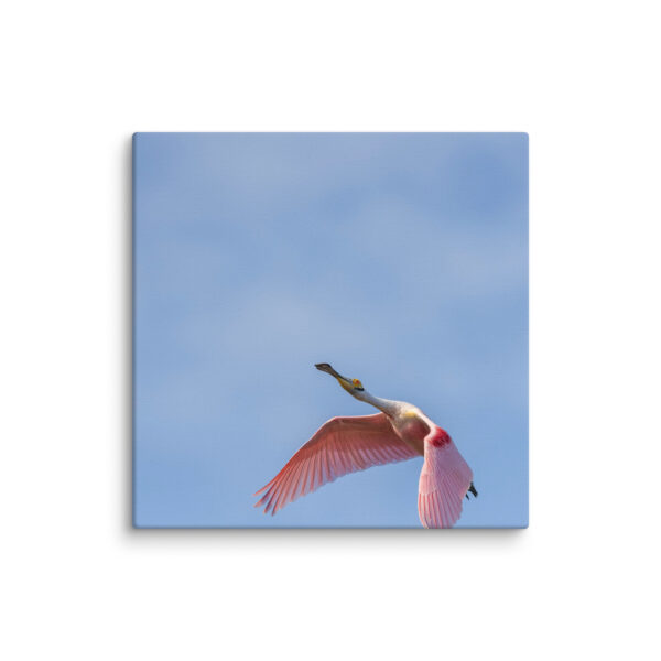 Shooting Star! Canvas - Image 3
