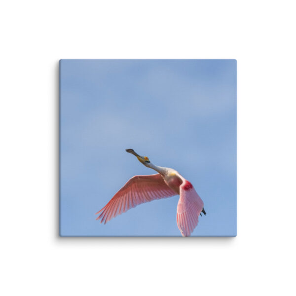 Shooting Star! Canvas - Image 9