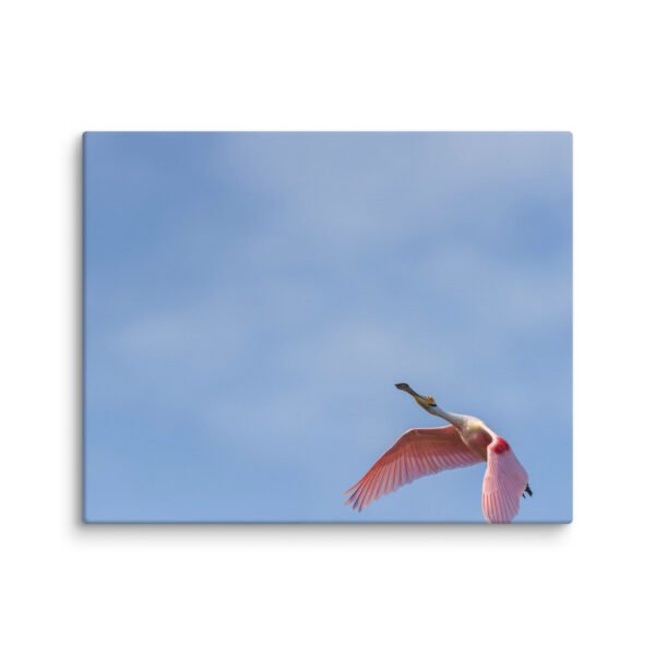 Shooting Star! Canvas - Image 10
