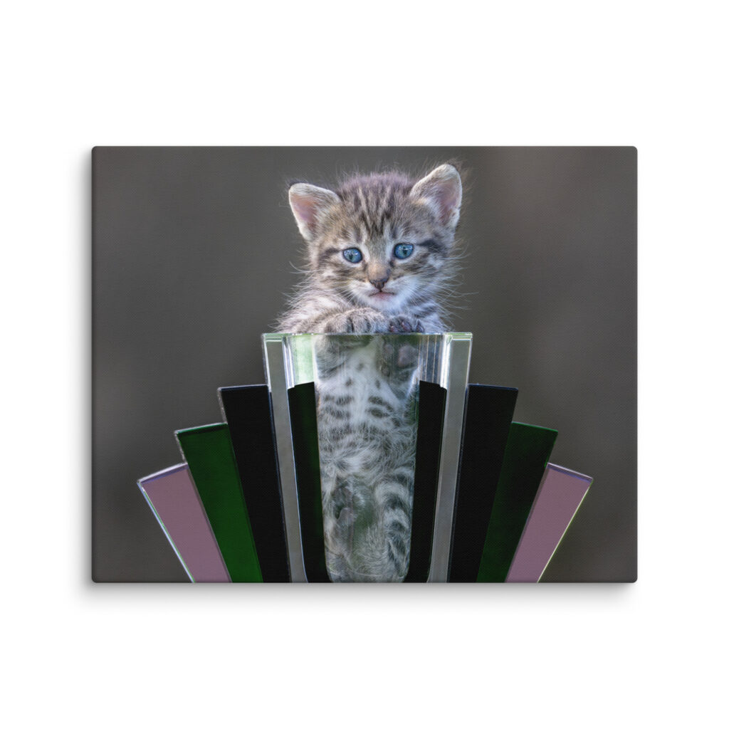Cute Kitten! Canvas