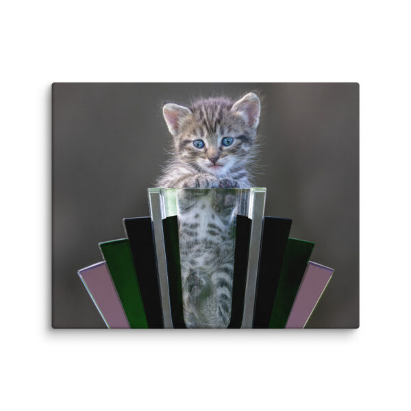 Cute Kitten! Canvas