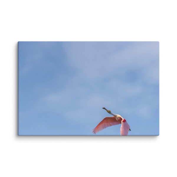Shooting Star! Canvas - Image 4