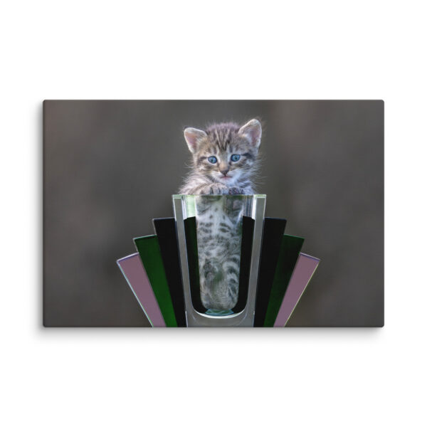 Cute Kitten! Canvas - Image 5