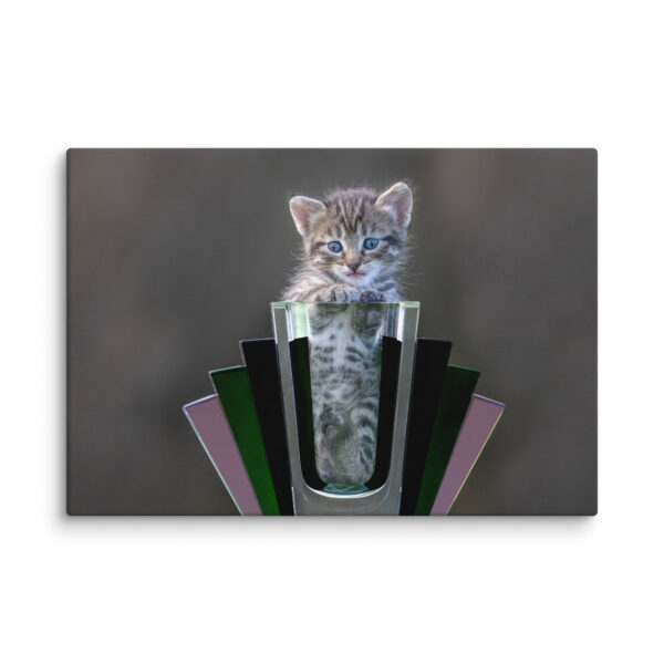 Cute Kitten! Canvas - Image 7