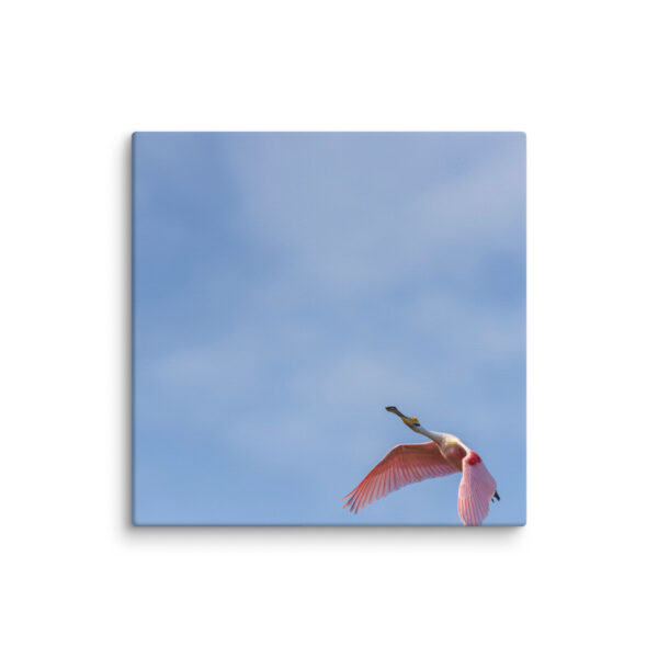 Shooting Star! Canvas - Image 6