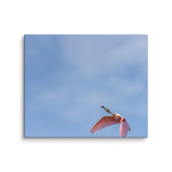 Shooting Star! Canvas - Image 7