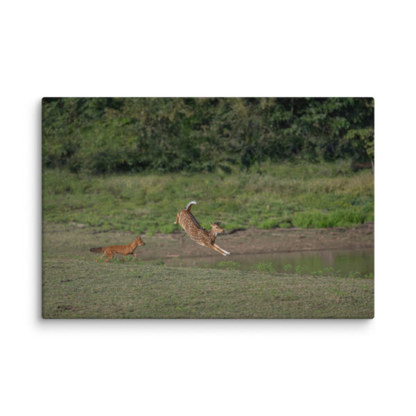 Running away from dhole! Canvas - Image 14