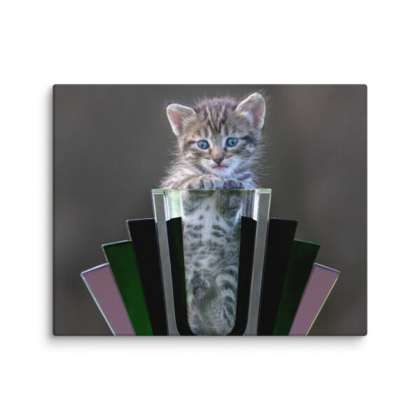 Cute Kitten! Canvas - Image 8