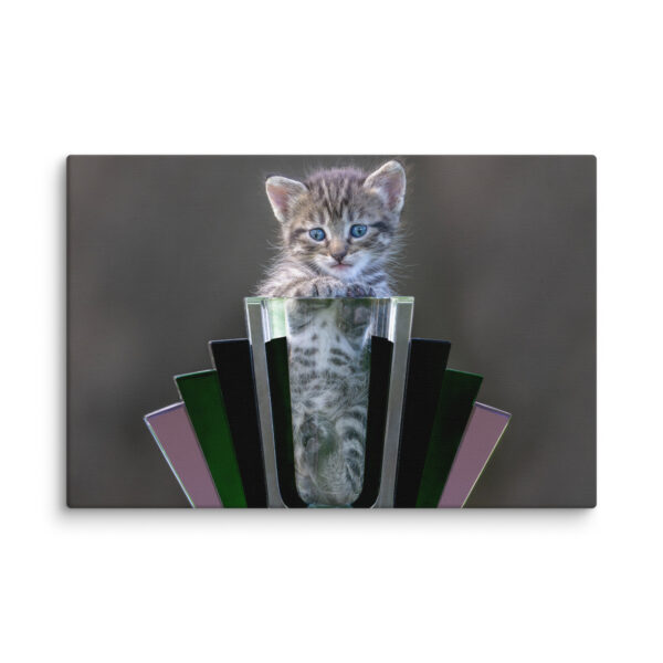 Cute Kitten! Canvas - Image 9