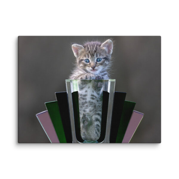 Cute Kitten! Canvas - Image 10