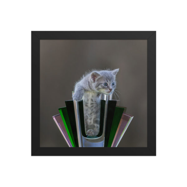 Gray Kitten! Framed poster - Image 3