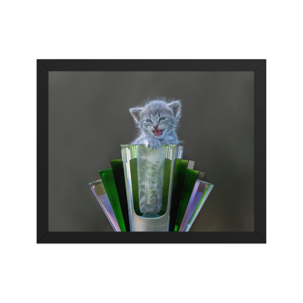 Roaring Kitten! Framed poster