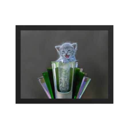 Roaring Kitten! Framed poster