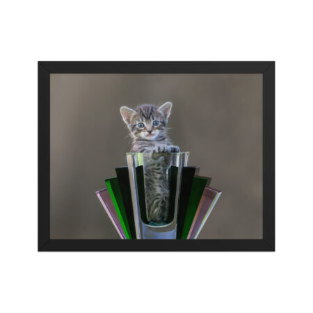 Surprised Kitten! Framed poster