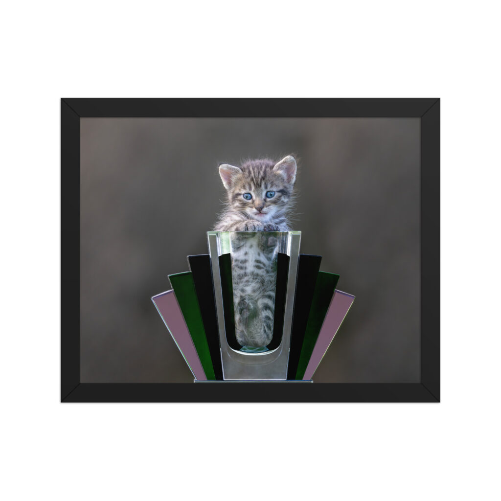 Cute Kitten! Framed poster