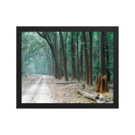 The Path less Understood! Framed poster