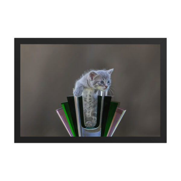 Gray Kitten! Framed poster - Image 6
