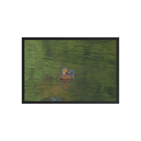 Emerald pool! Framed poster
