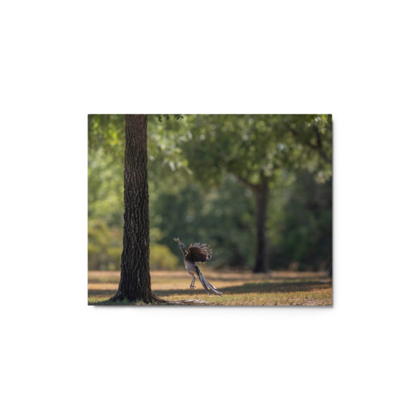 Rushing with a prey! Metal prints - Image 2