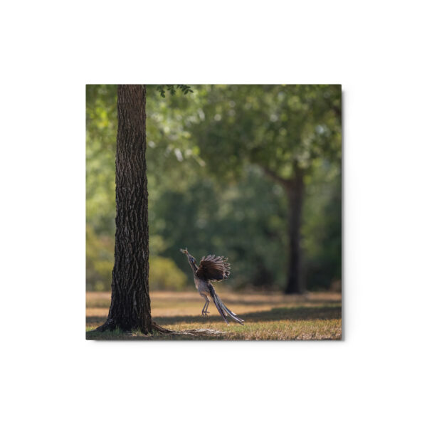 Rushing with a prey! Metal prints - Image 3