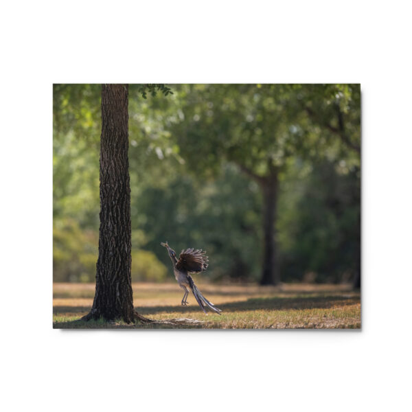 Rushing with a prey! Metal prints - Image 4