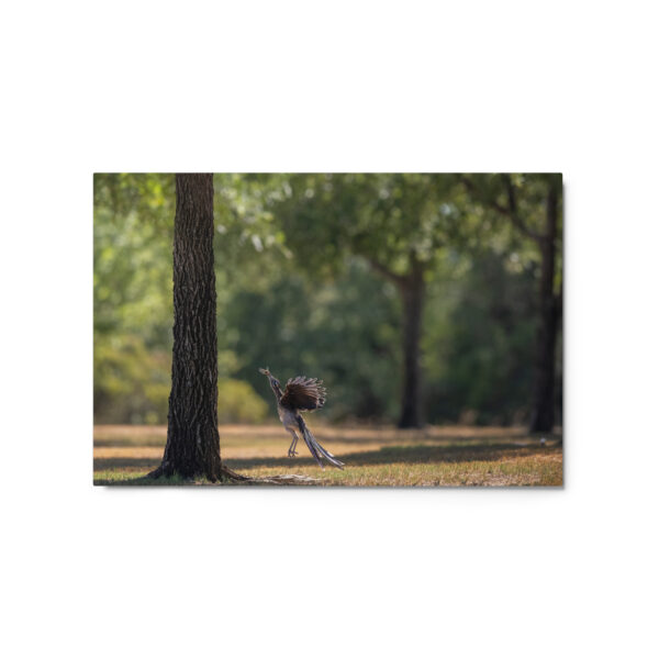 Rushing with a prey! Metal prints - Image 5