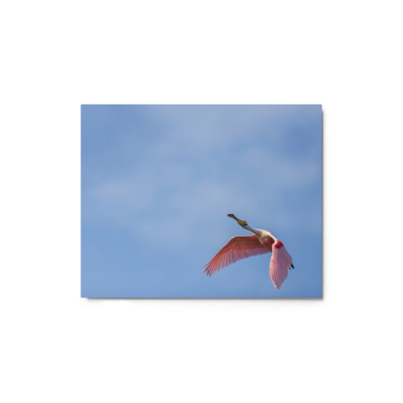 Shooting Star! Metal prints