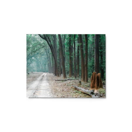 The Path less Understood! Metal prints