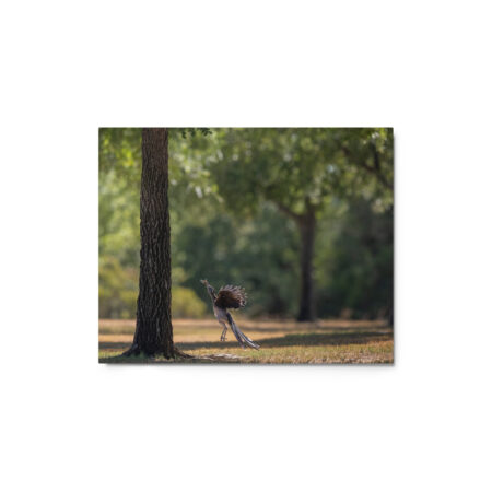 Rushing with a prey! Metal prints