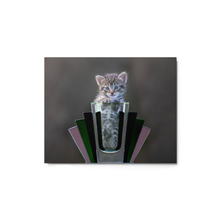 Cute Kitten! Metal prints