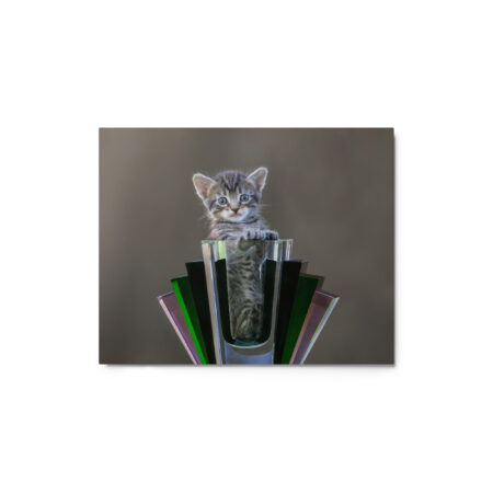 Surprised Kitten! Metal prints