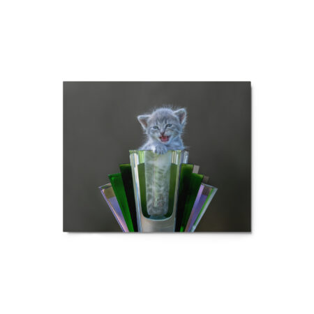 Roaring Kitten! Metal prints