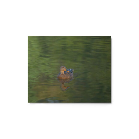 Emerald pool! Metal prints