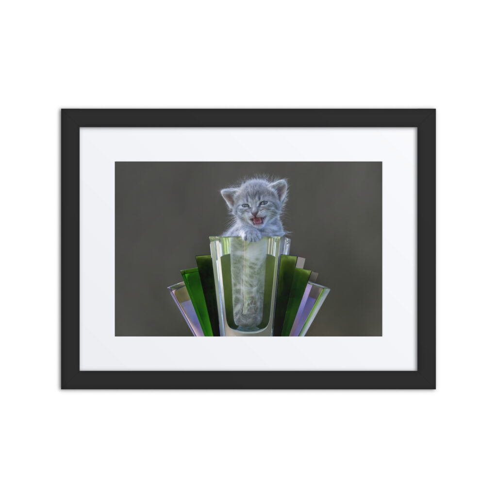 Roaring Kitten! Framed poster