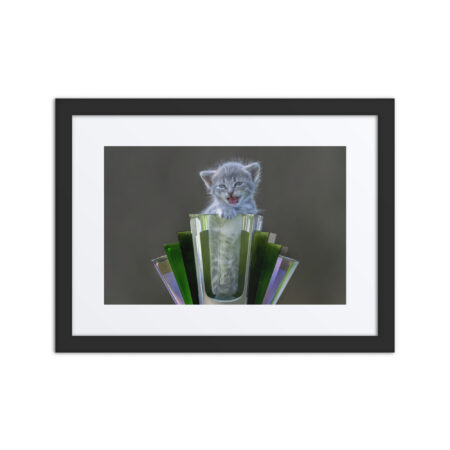 Roaring Kitten! Framed poster